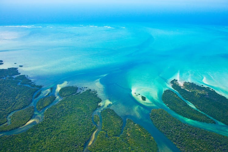 aerial view of quirimbas beach, mozambique safaris