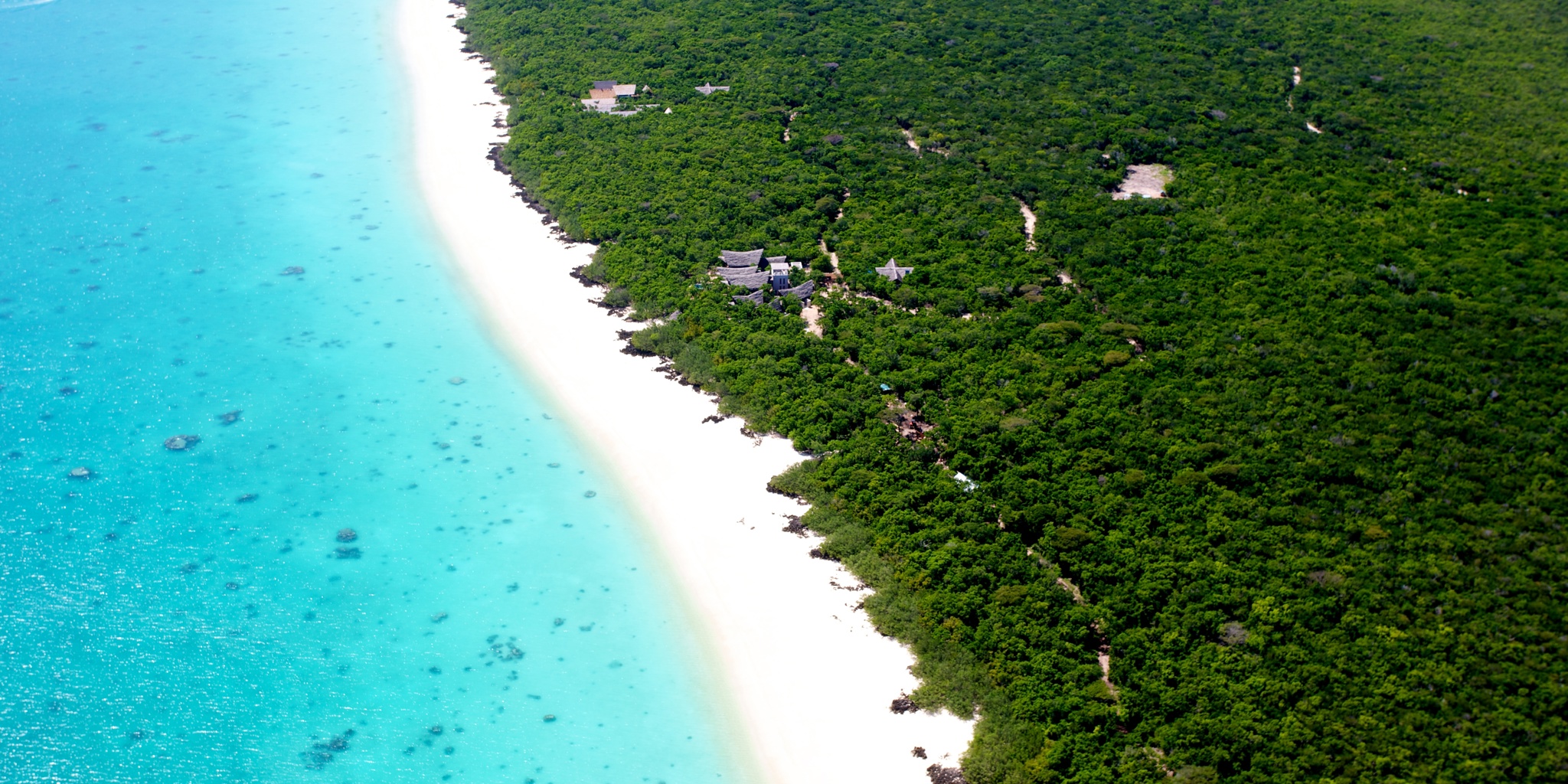 vamizi island, quirimbas beach, mozambique safaris
