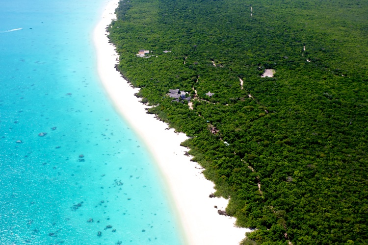 vamizi island, quirimbas beach, mozambique safaris