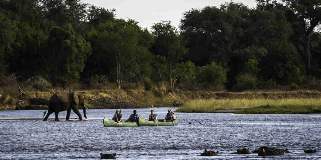 canoeing in mana pools, zimbabwe experiences, africa safaris
