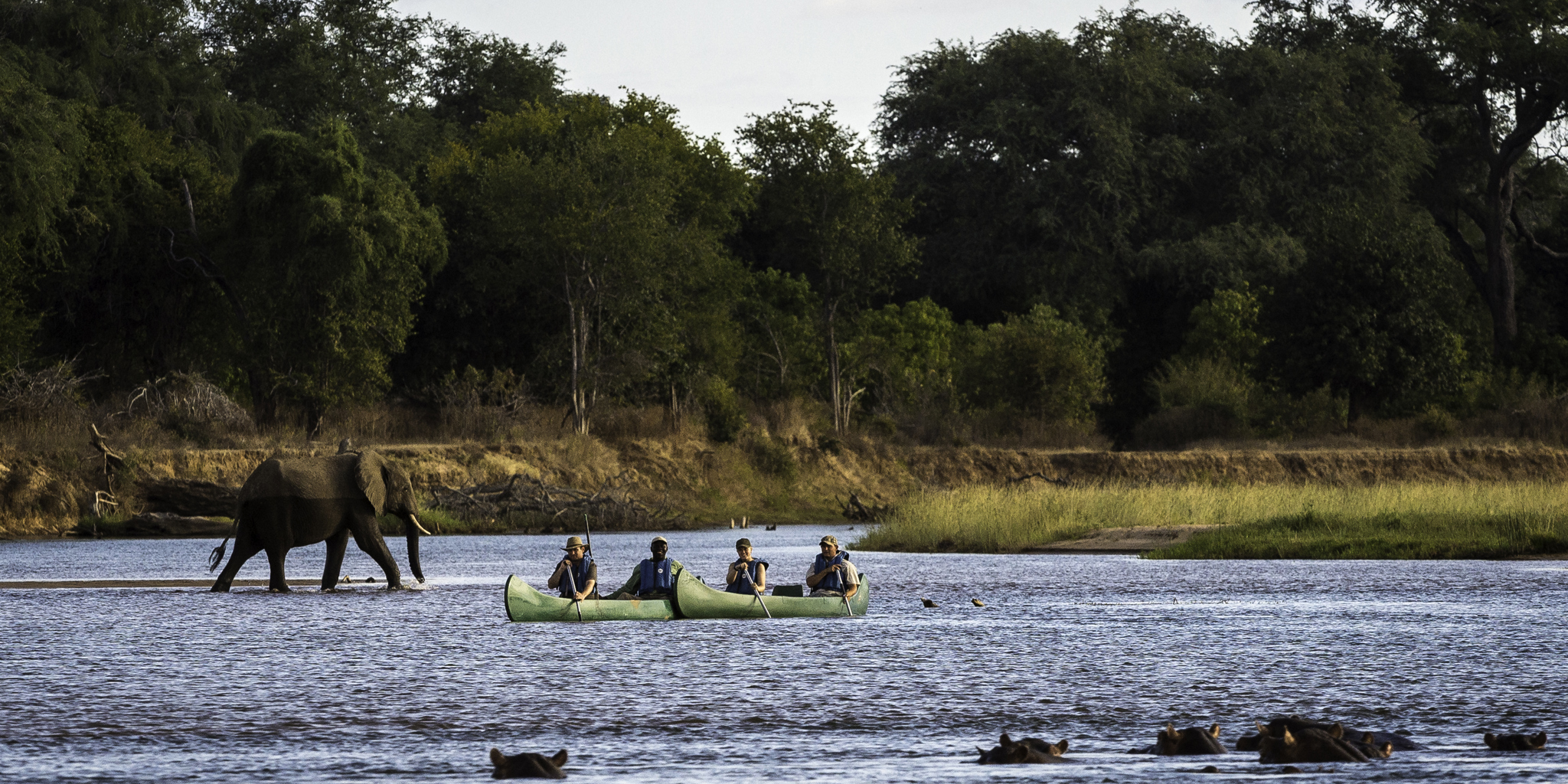 canoeing in mana pools, zimbabwe safari vacations