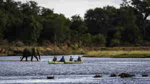 canoeing in mana pools, zimbabwe safari holidays