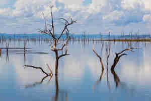 lake kariba, matusadona national park, zimbabwe