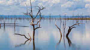 lake kariba, matusadona national park, zimbabwe