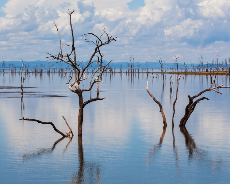 lake kariba, matusadona national park, zimbabwe