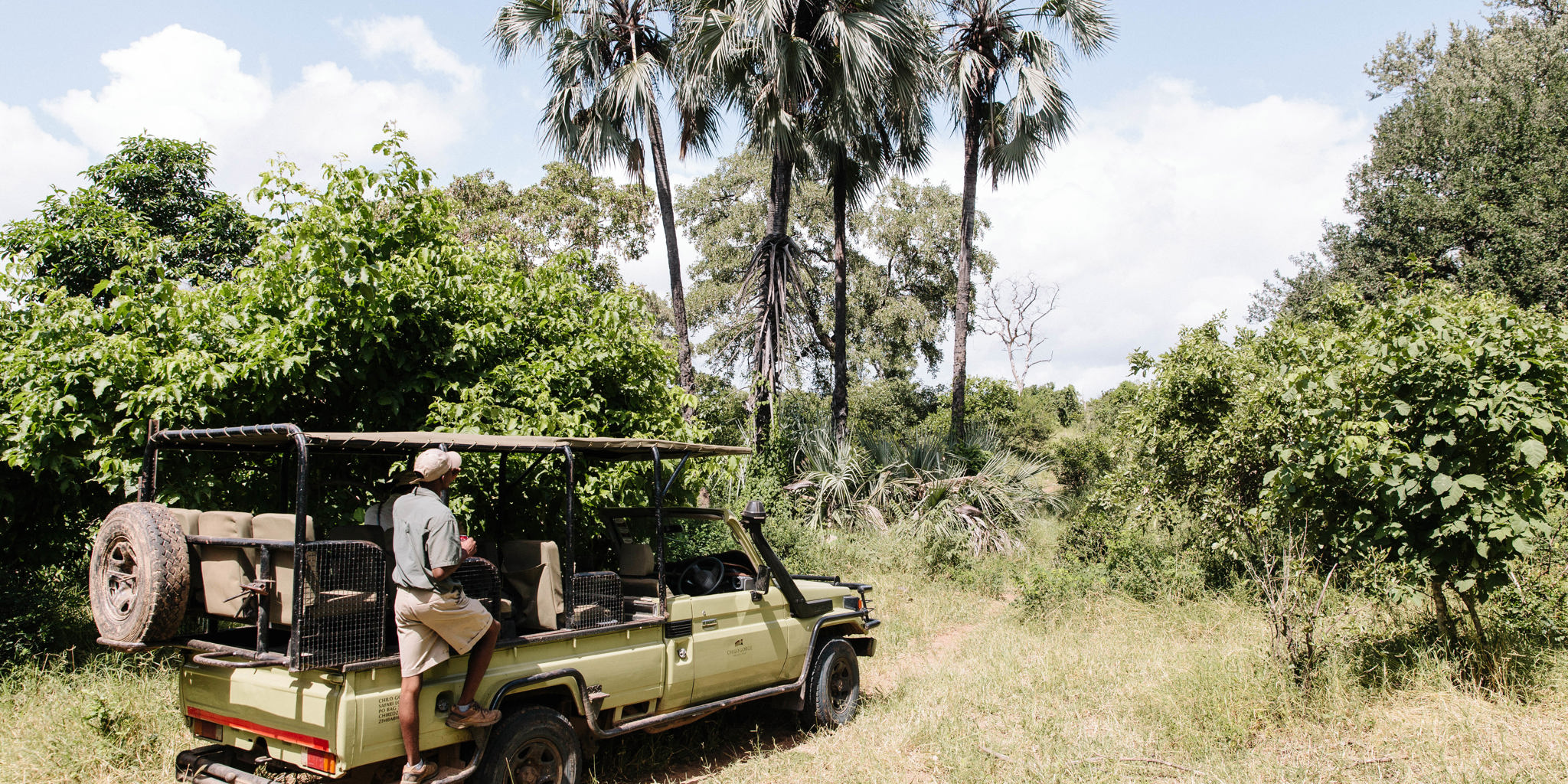 game drive, gonarezhou national park, zimbabwe safaris