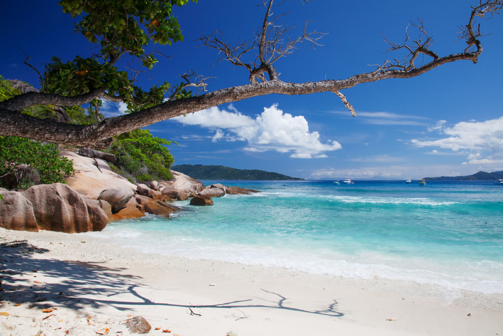beach, la digue island, africa safari destination
