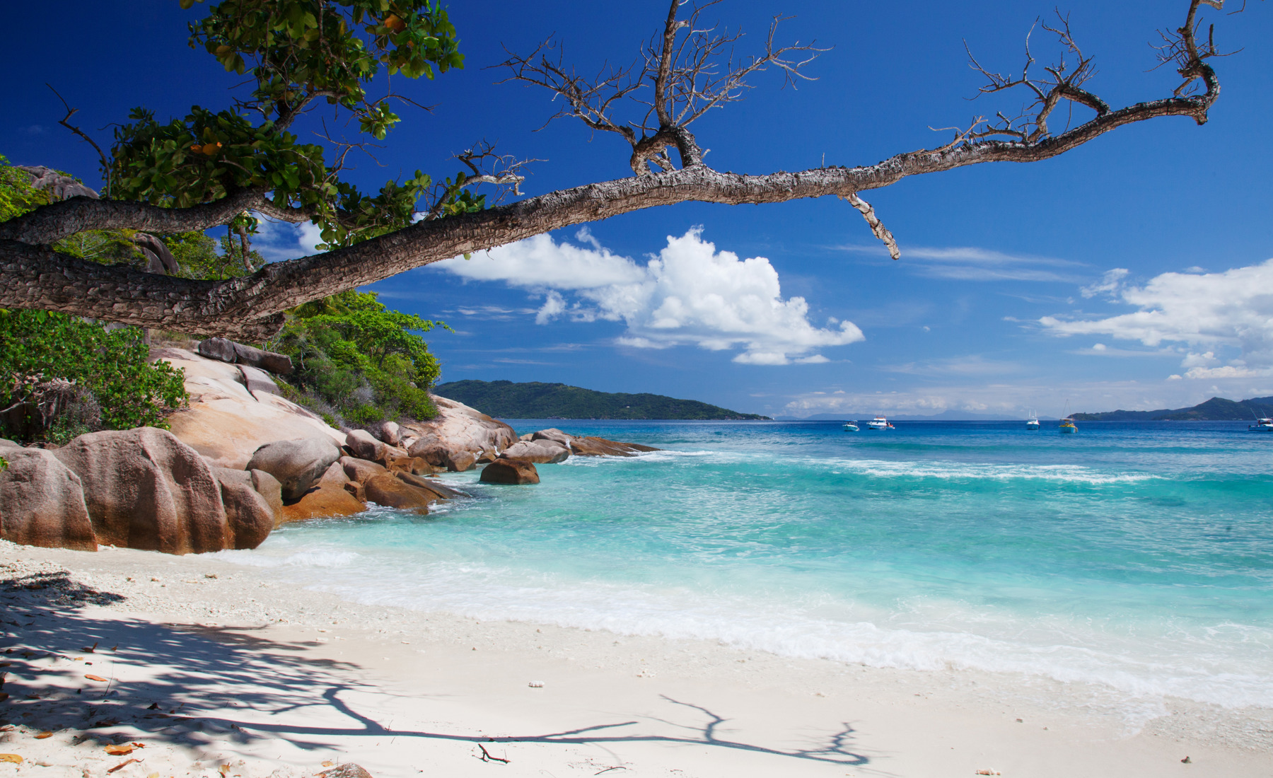 beach, la digue island, africa safari destination