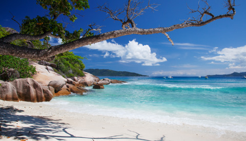 beach, la digue island, africa safari destination