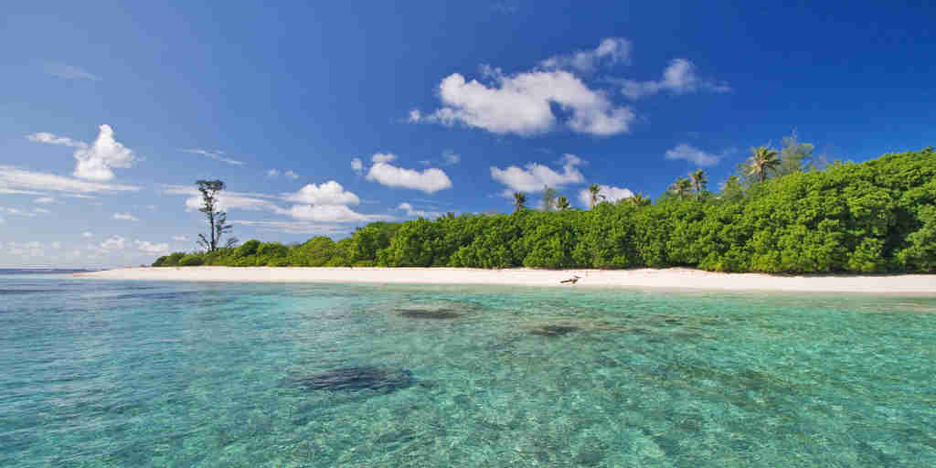 hirondelle beach, bird island, seychelles, africa safaris