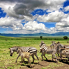 Ngorongoro Crater Safaris | Tanzania Holidays | Yellow Zebra Safaris