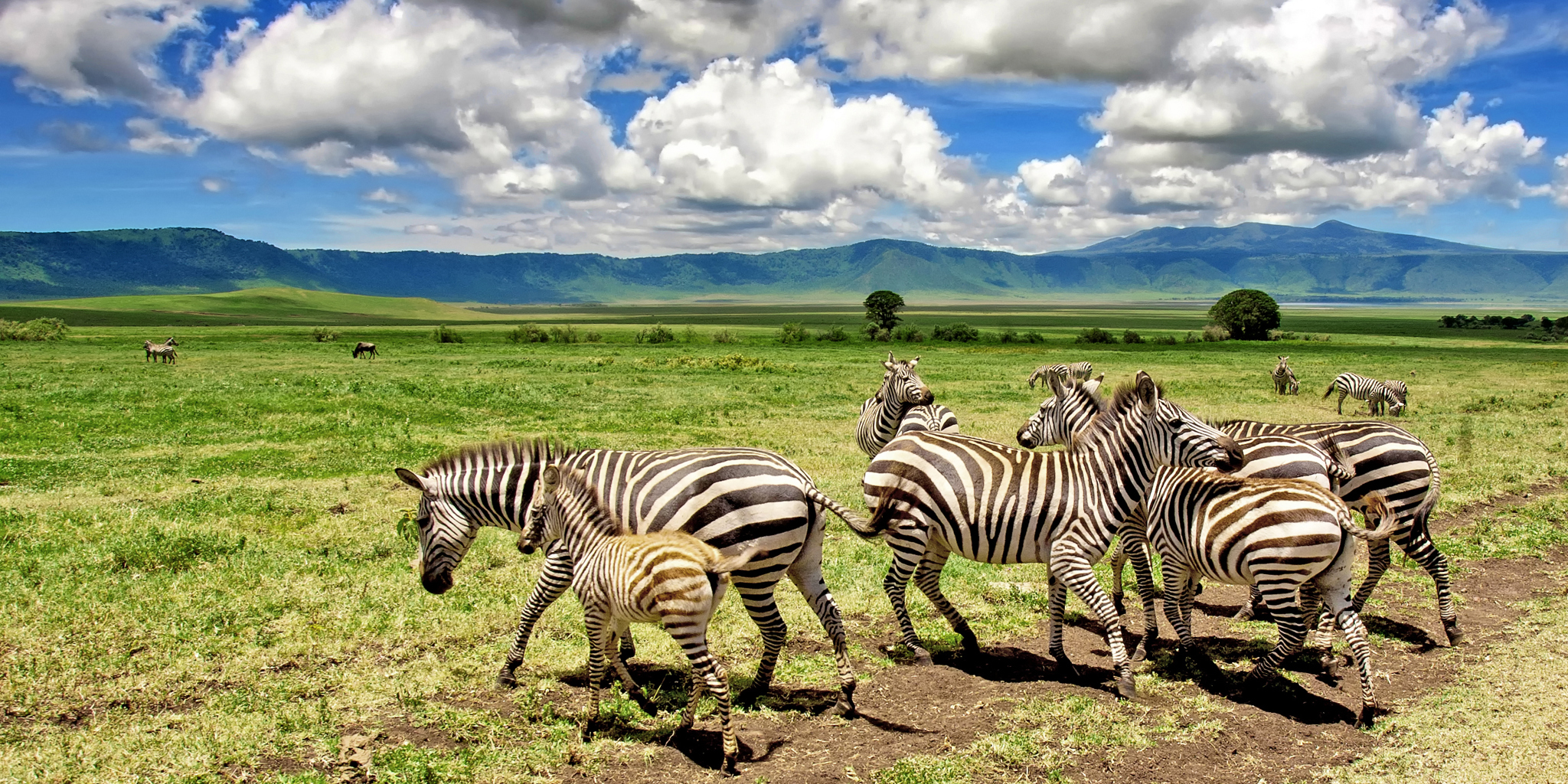 Ngorongoro Crater Safaris | Tanzania Holidays