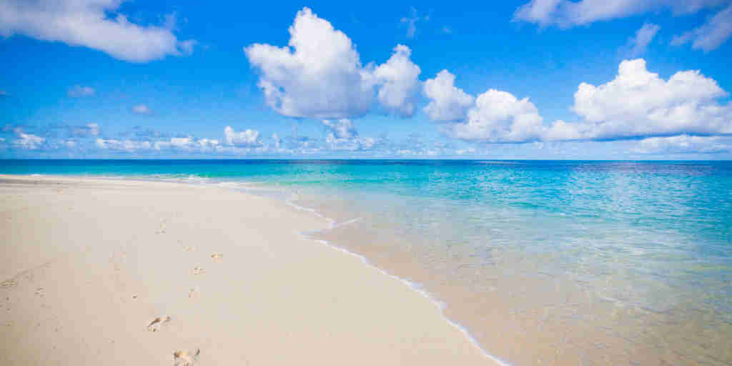 beach, denis island, seychelles, africa safari destinations