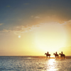 horse riding safaris, east coast mauritius, africa safaris