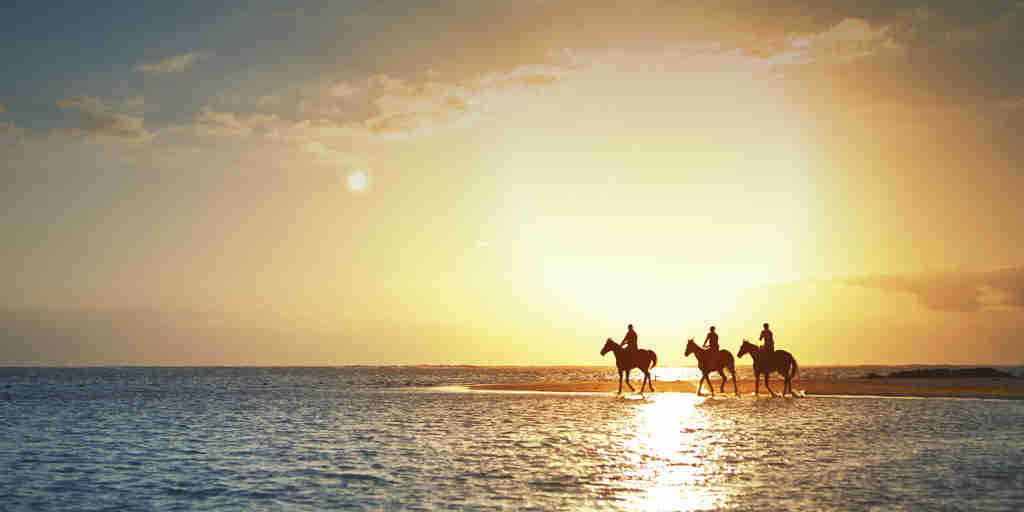 horse riding safaris, east coast mauritius, africa safaris