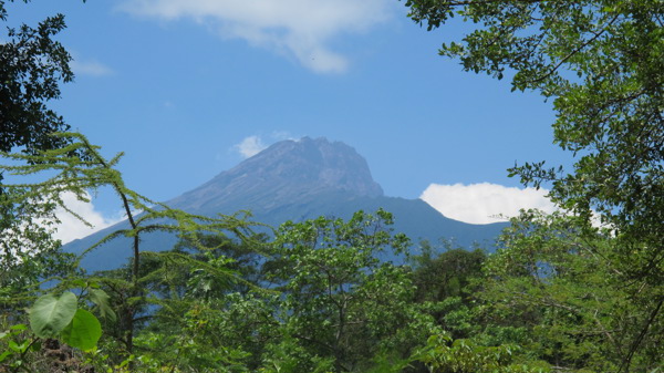 Mount Meru view, Arusha, Tanzania