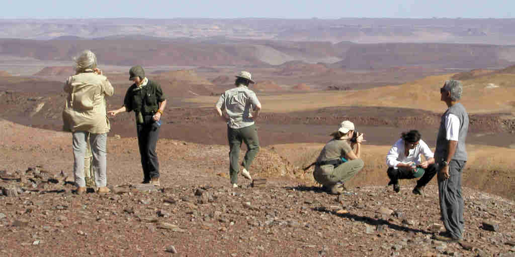 Private Group Safari Tours Holidays Private Group Safari Tours Holidays
