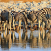 Namibia Safari Holidays | Yellow Zebra Safaris