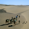 Camel and Selinda Walks 131