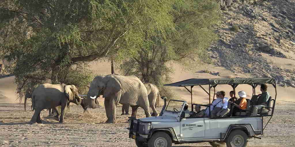 elephant game drives, damaraland, namibia safaris
