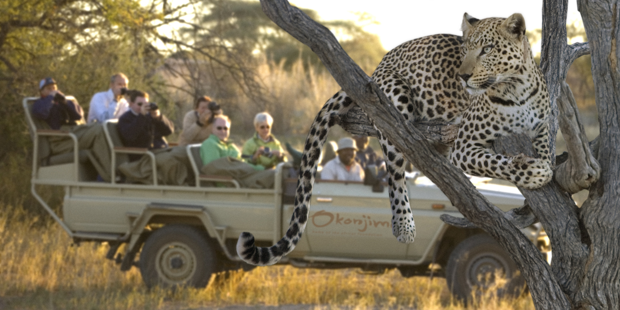 leopard game drive, central namibia safari vacations