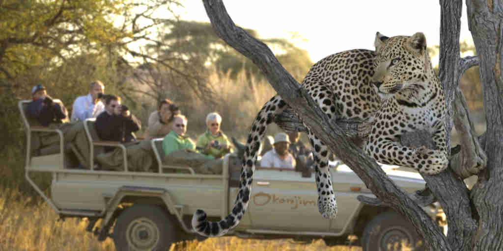 leopard game drive, central namibia safari holidays