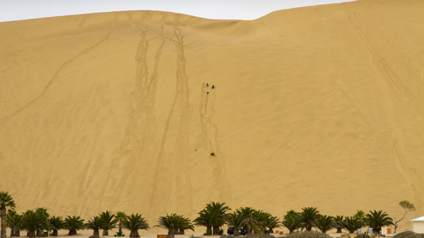 swakopmund and walvis bay, namibia safaris