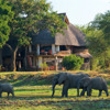 Luangwa Safari House Luxury Lodges in Zambia Yellow Zebra Safaris