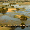 Okavango Delta Safari Holidays | Botswana | Yellow Zebra Safaris