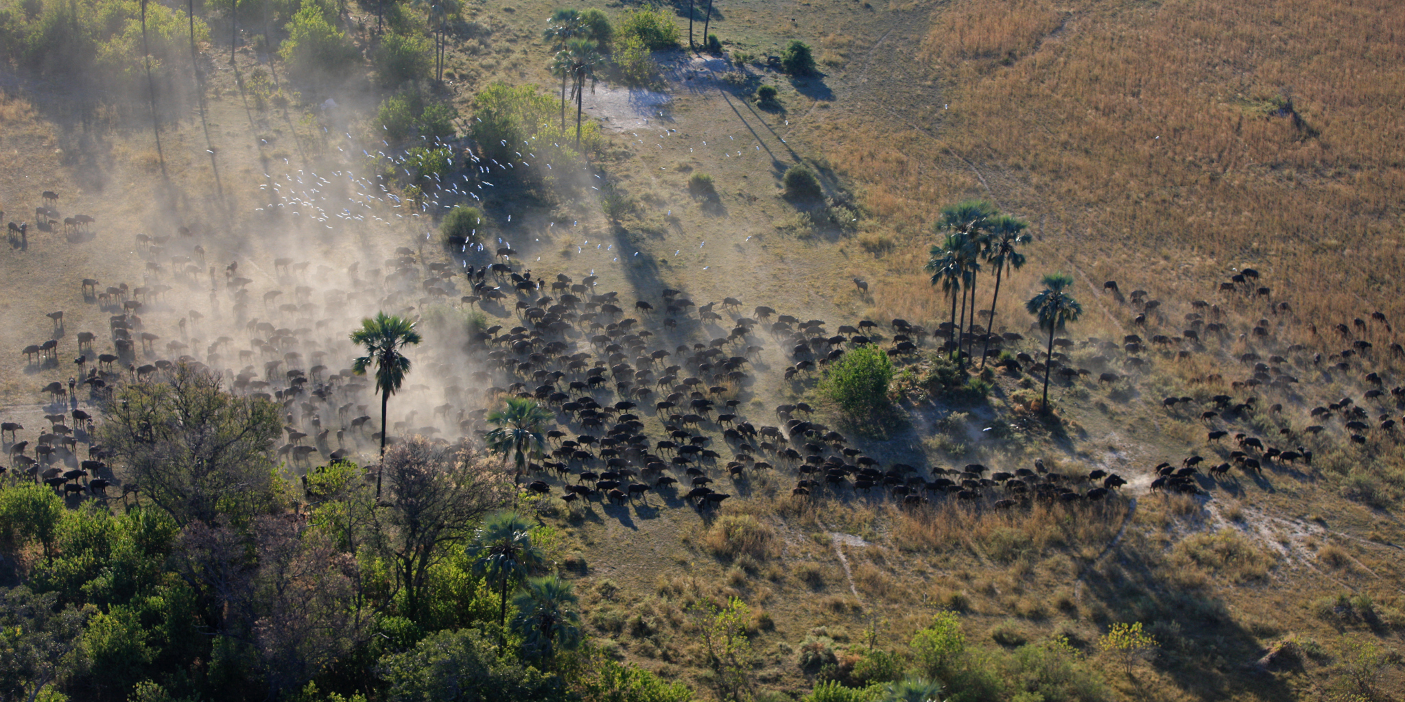 park view, the linyanti, botswana safari holidays