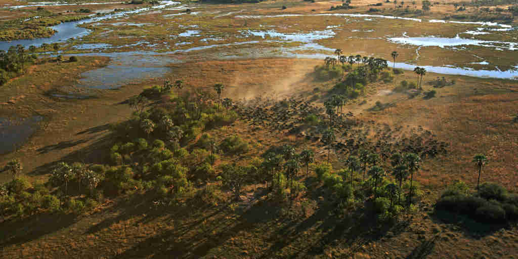 aerial view, the linyanti, botswana safari vacations