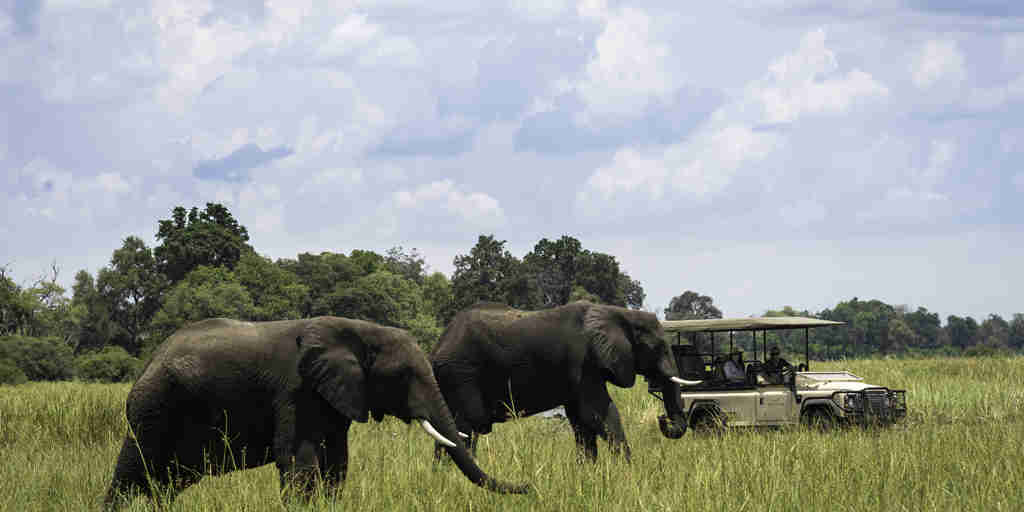 elephant game drive, the linyanti, botswana safari vacations