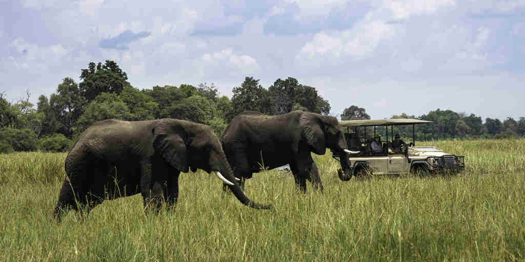 elephant game drive, the linyanti, botswana safari vacations