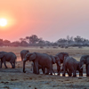 sunset over the linyanti, botswana safari holidays