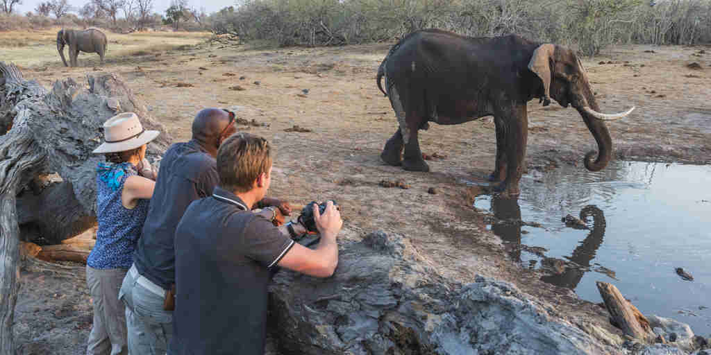 game watching, botswana elephants, africa areas and experiences