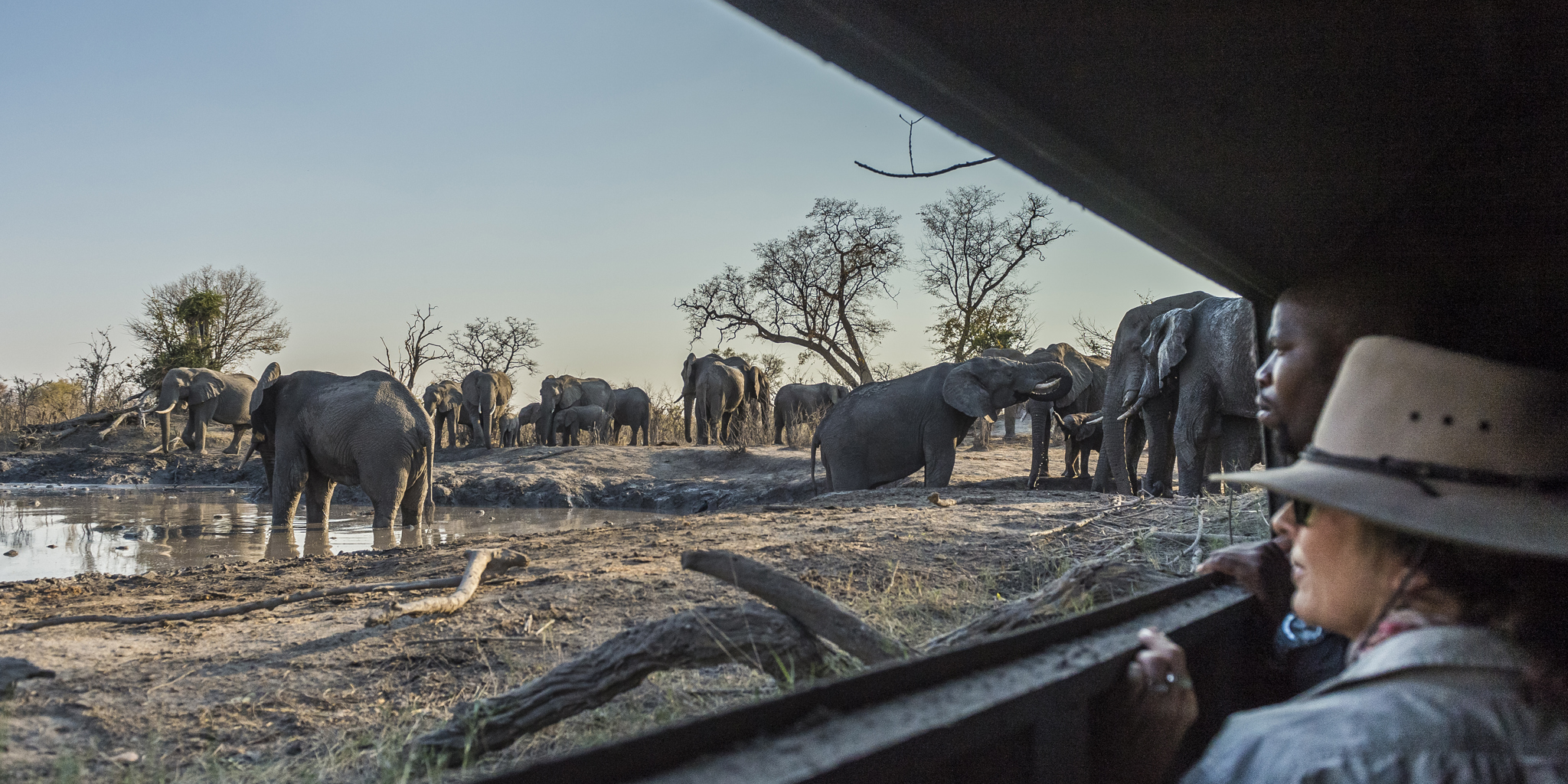 Ntshe Hide MM Sept2016 06