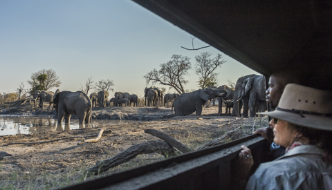 Ntshe Hide MM Sept2016 06