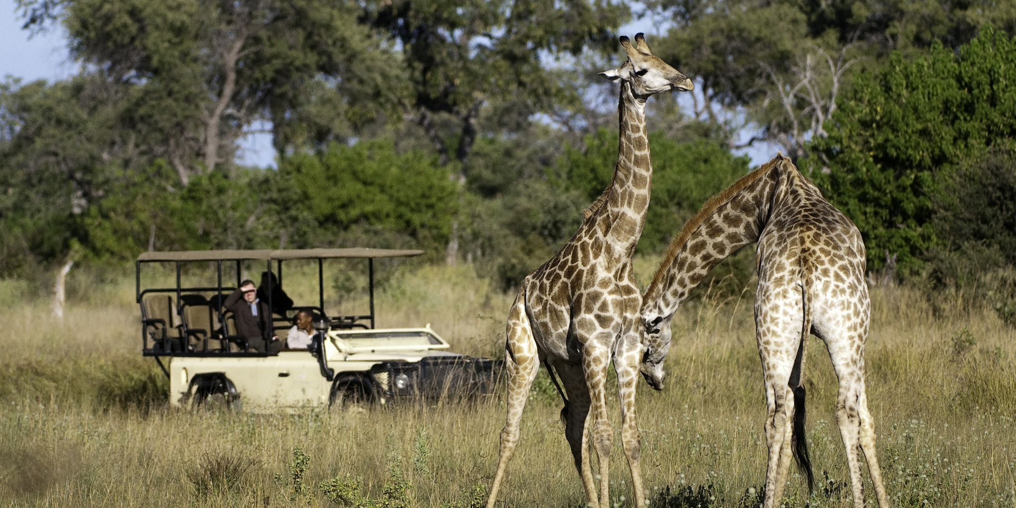 Private Game Reserves Botswana Yellow Zebra Safaris