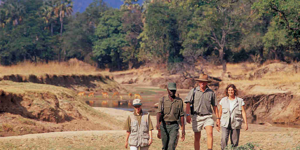 zambia zimbabwe walking safari yellow zebra safaris