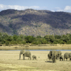 valleys and foothills, south luangwa national park, zambia