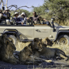 game drive safaris, moremi game reserve, africa holidays