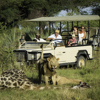 Best Africa Safari Destinations To Visit | Yellow Zebra Safaris