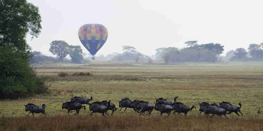 air balloon safaris, kafue national park holidays