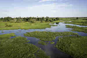view of moremi game reserve, botswana safari parks