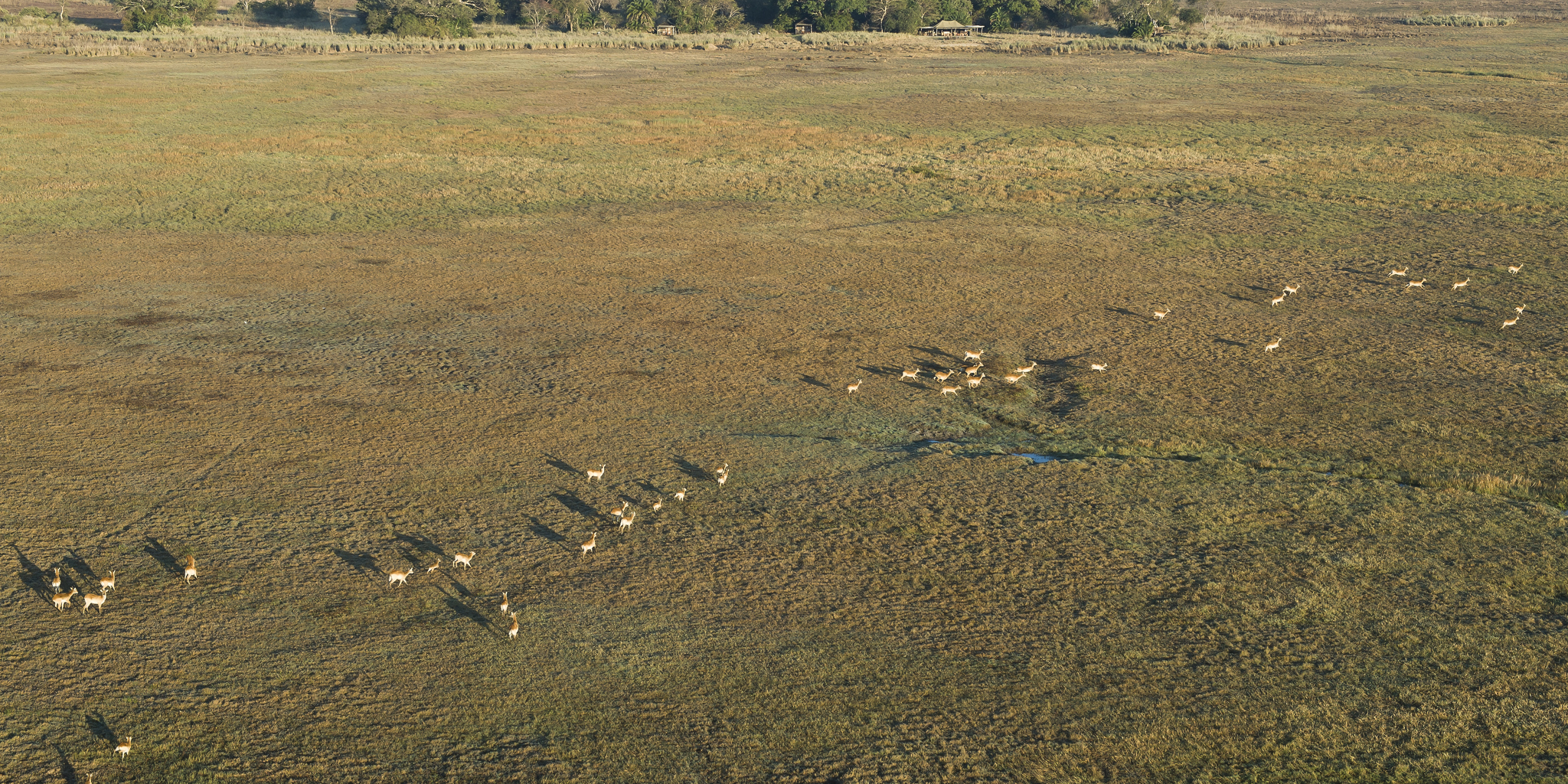 kafue national park aerial view, zambia safaris