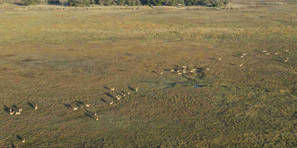 kafue national park aerial view, zambia safaris
