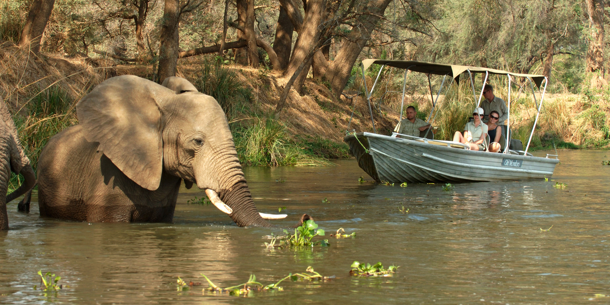 boating safari, chiawa, zambia safari vacations