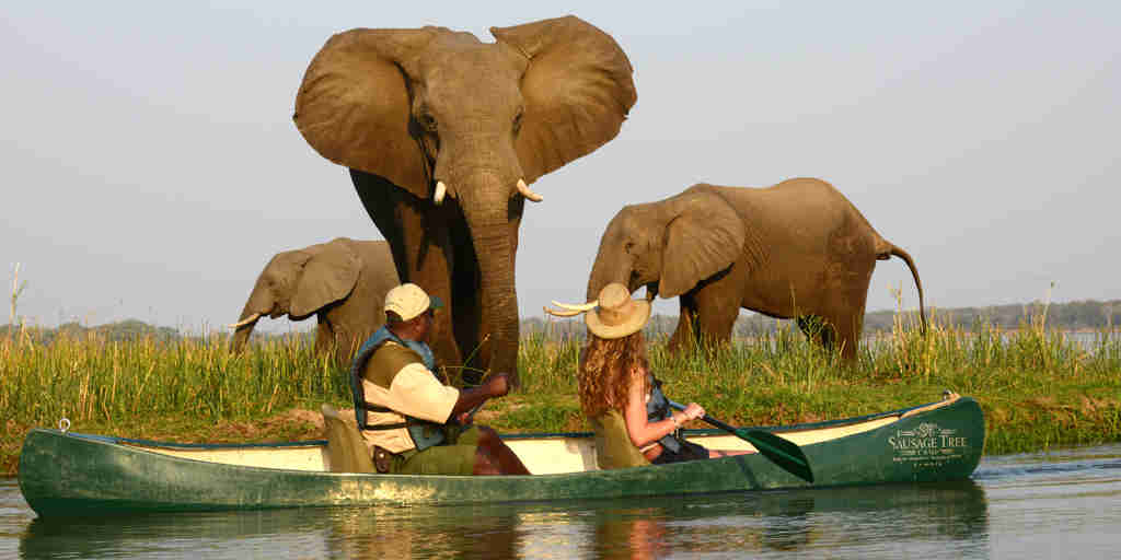 elephant encounter, canoeing safaris, zambia vacations