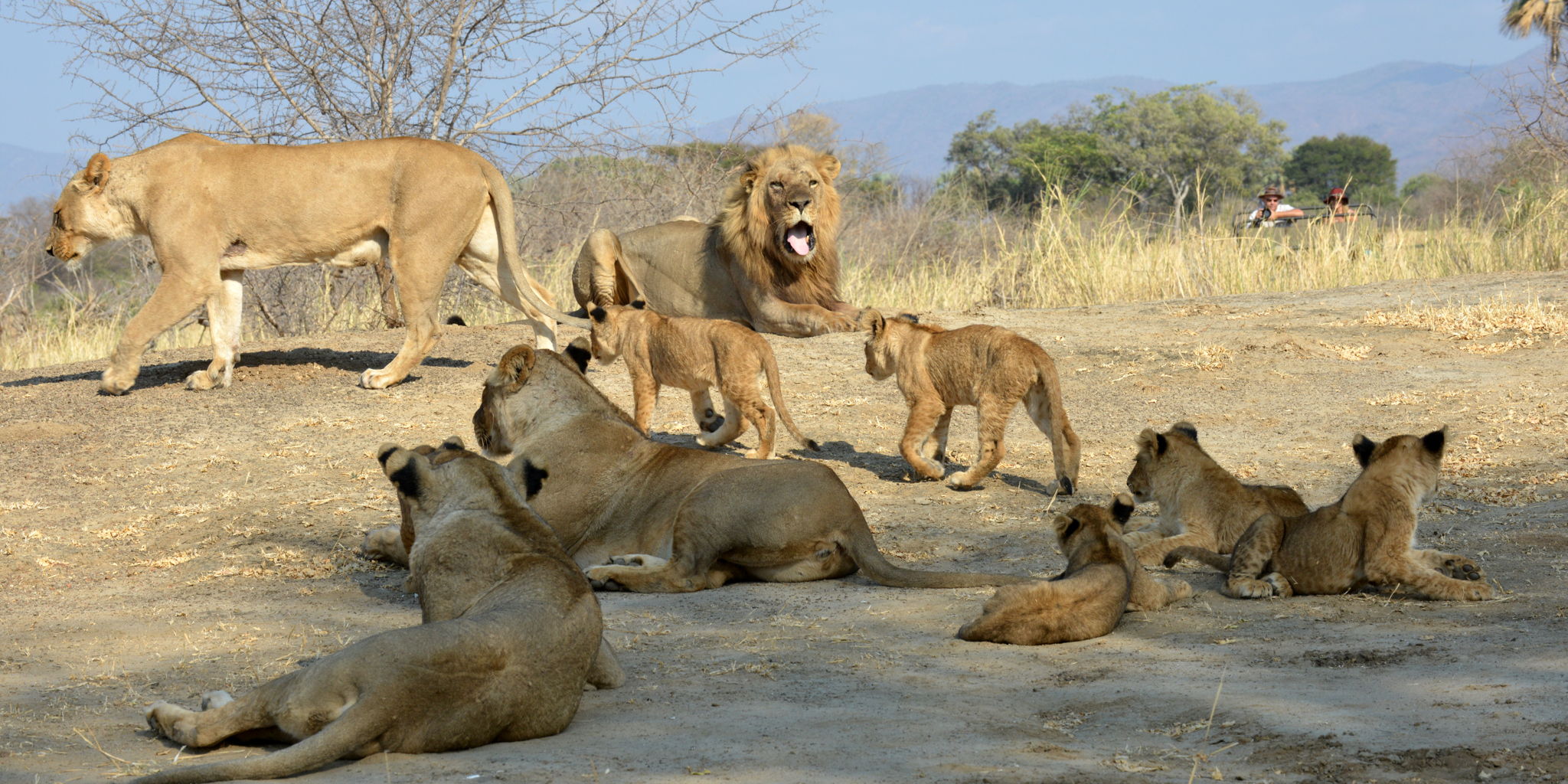 STC Game Drive 7