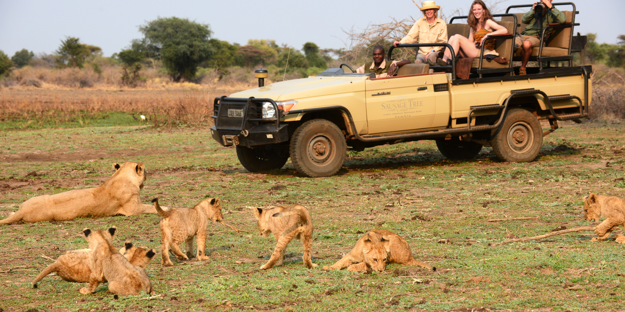 STC Game Drive 10